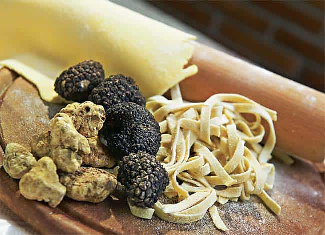BLACK, WHITE AND REVERED ALL OVER! The black truffle of Perigord is the basic truffle of French cookery and the white is a condiment rather than a cooking ingredient